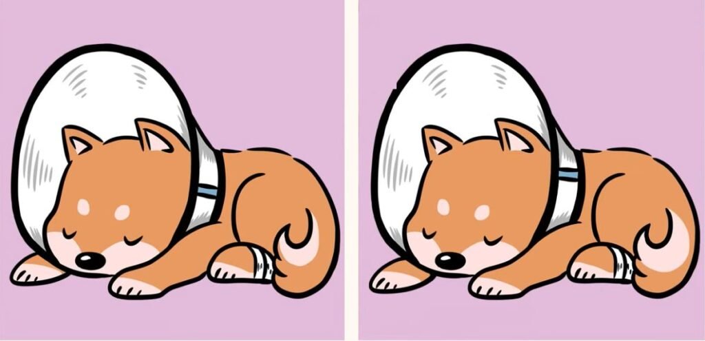 Annotated version of the Lazy Dog Spot-the-Difference Puzzle highlighting the three visual changes