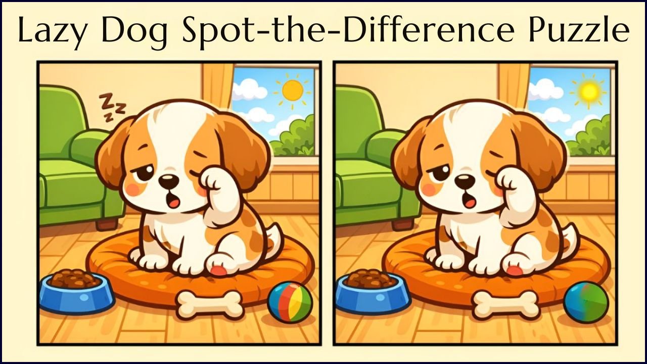 Lazy Dog Spot-the-Difference Puzzle