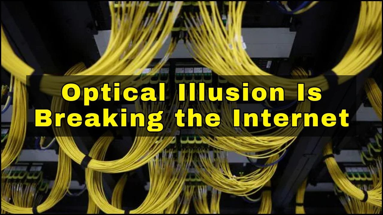 Optical Illusion Is Breaking the Internet