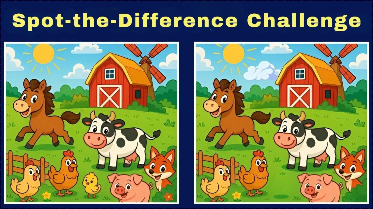 Spot-the-Difference Challenge